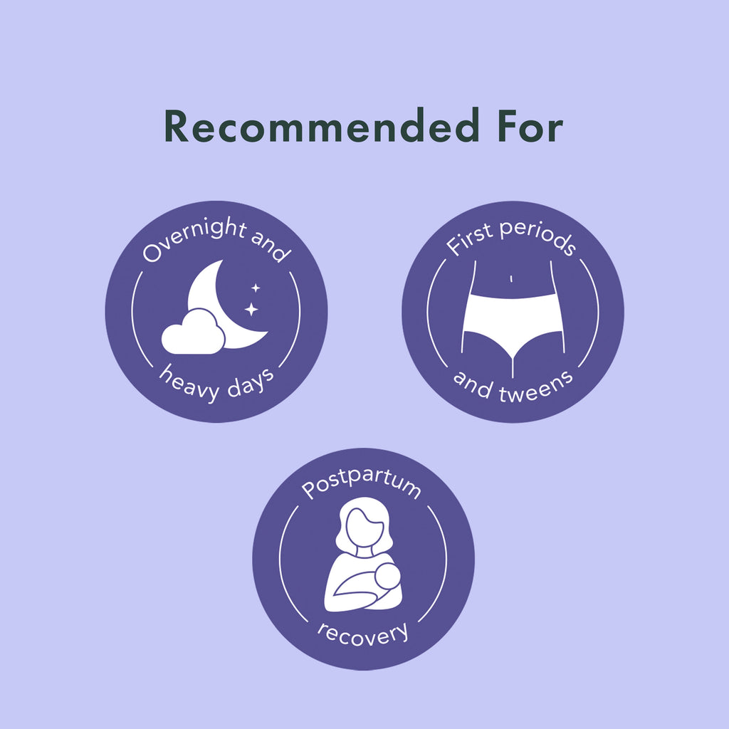Disposable Period Underwear Made With Organic Cotton - Original Collection 66