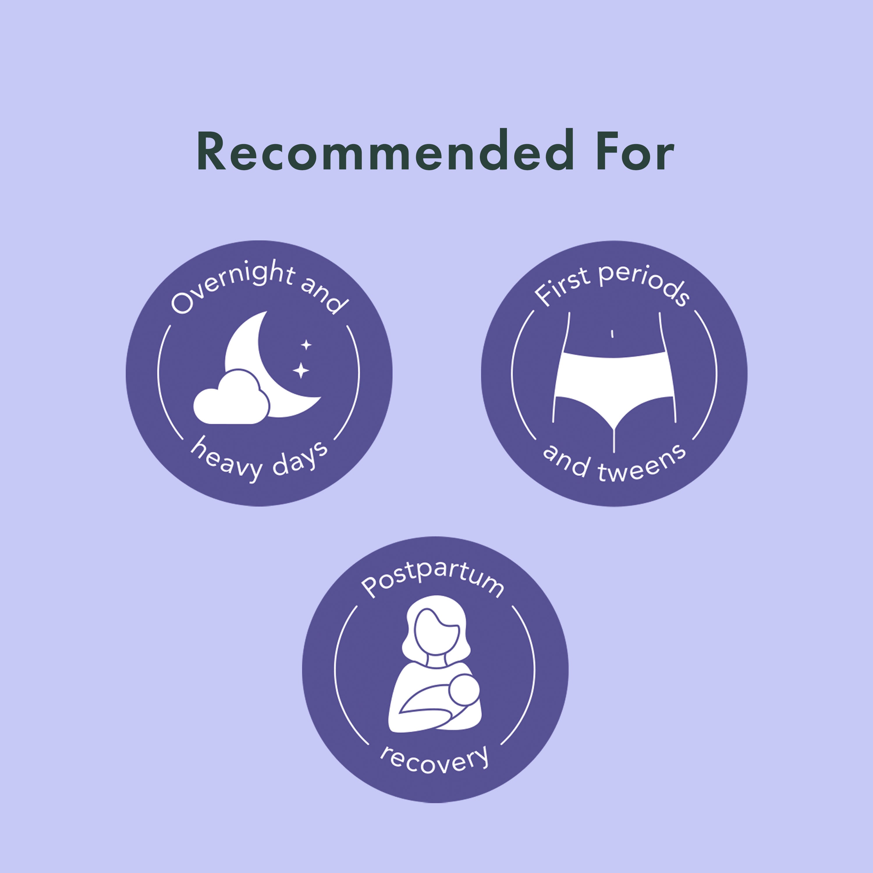 Disposable Period Underwear Made With Organic Cotton - Original Collection 66