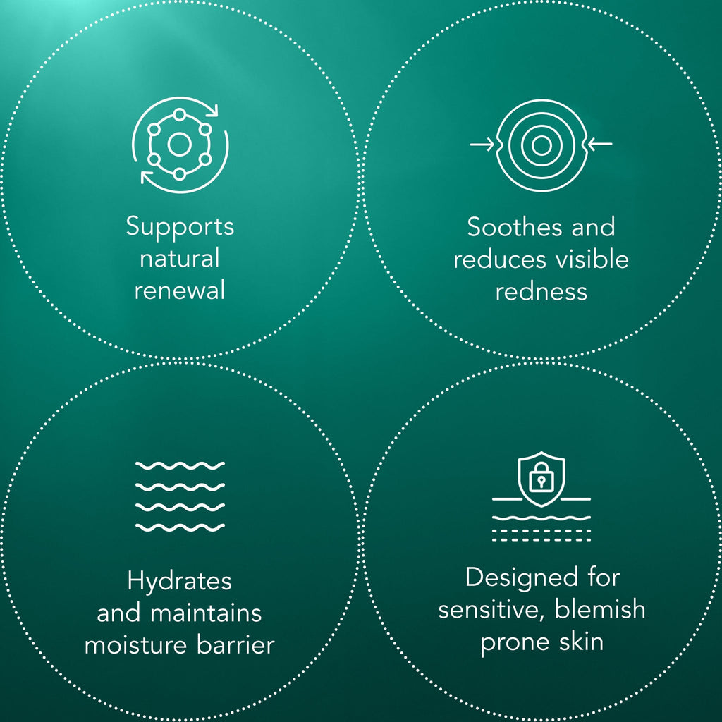 Blemish Recovery Mask - Original Collection Ve